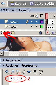 tutoriales Flash Programar una Galería de Imágenes en Flash | Solo Pho Galeria_08