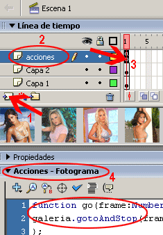 tutoriales Flash Programar una Galería de Imágenes en Flash | Solo Pho Galeria_11