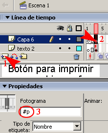 tutoriales Flash Botón para Impresión de Textos o Imágenes en Archivo  Print_19
