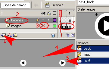 tutoriales Flash Enlazar fotogramas con botones (Galeria) en Flash 8 | Next_back_08