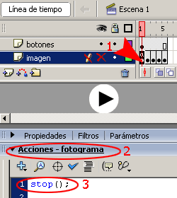 tutoriales Flash Enlazar fotogramas con botones (Galeria) en Flash 8 | Next_back_11