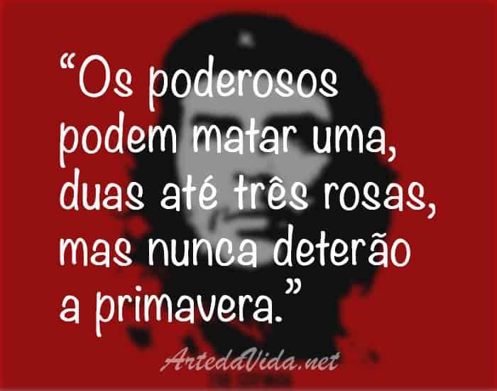 Bolsonaro é excluído de pesquisa de intenção de votos e ainda vence enquete Frases-che-guevara-primavera