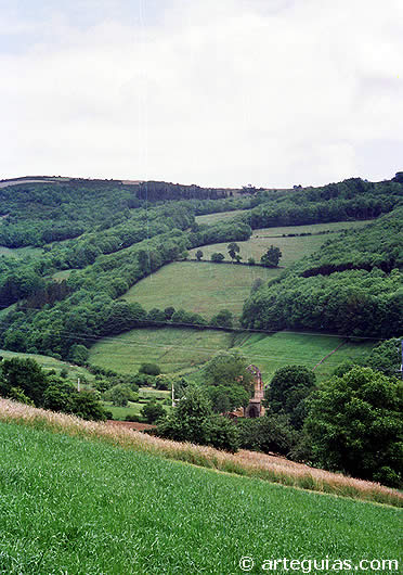 Rincón del Arte y de Historia - Página 3 Reinoastur