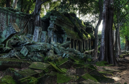 Rolea tu imperio - Volumen VII - RISE OF THE QUEEN - Parte 3 - Página 16 Landscapes%20trees%20ruins%20forest%20cambodia%20moss%20angkor%20wat%20temple%201314x864%20wallpaper_www.artwallpaperhi.com_97