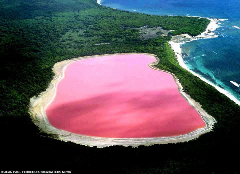 Lago Hillier : El único lago de color rosa del mundo Lake-Hillier_1
