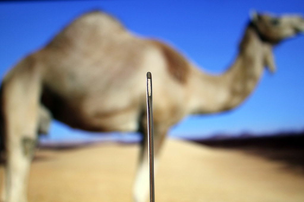 Recueil des paraboles du Seigneur des Mondes : Toutes les paraboles du Coran Camel-needle