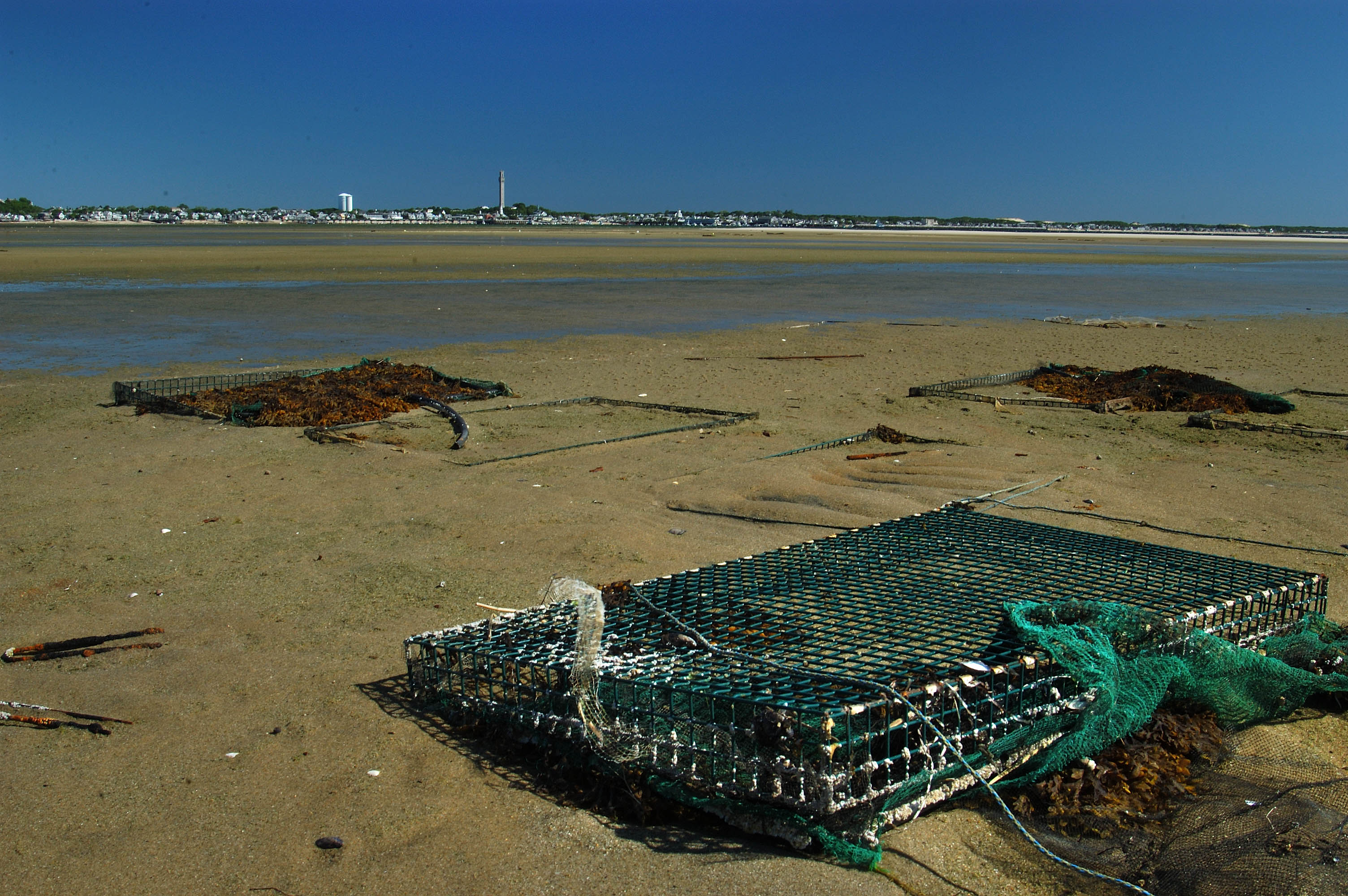 ''Insekte deti'' per te kenaqur shijen tuaj Newport_cape_cod-lobster_traps_low_tide_provincetown