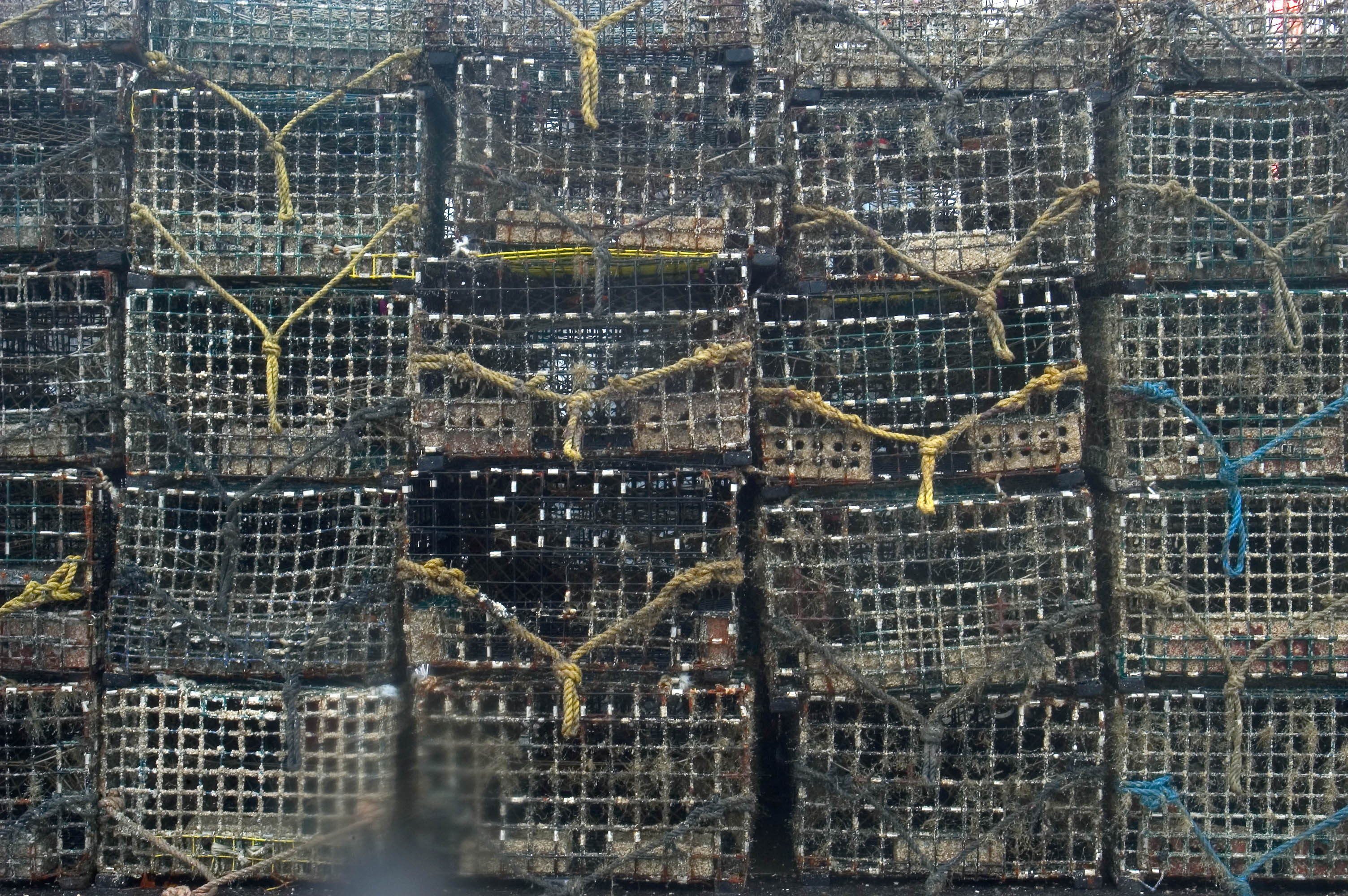 ''Insekte deti'' per te kenaqur shijen tuaj Westport_newport_november-lobster_traps_lees_wharf_westport