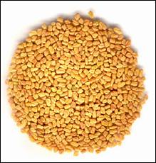 فوائد طبية لبعض النباتات والاعشاب Fenugreek