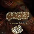 ما هو سر السعادة بعد اكل الشوكولاتة ؟؟؟؟ 81199547208911371885