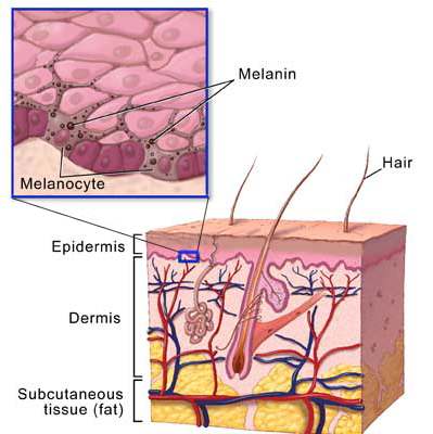 اكتشاف اسرار الشيب في القرآن Greying_01