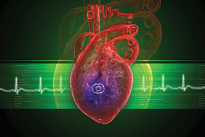 ما عدد دقات القلب لدى المرأة؟ Health1_591968