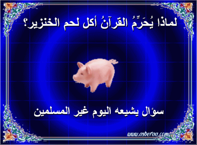 الأدلة في تحريم لحم الخنزير بالصور 0