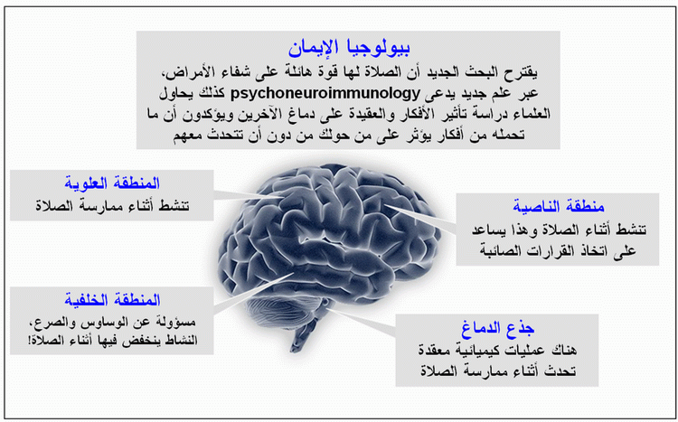 باحث أمريكي يكتشف أن الصلاة تعيد برمجة الدماغ   Prayer-brain-active-000