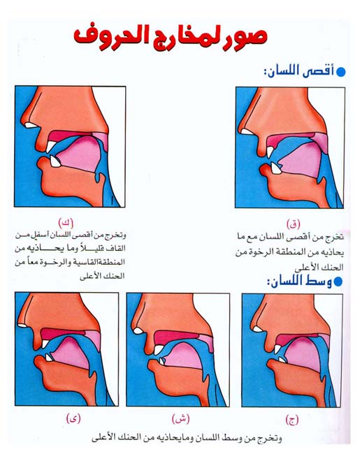 أحكام التجويد كاملة سهلة وبالصور مفيدة جدا لكل مسلم 1f5b9a1c81