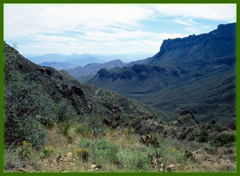 Najveće pustinje na svetu  Chihuahuan-pustinja