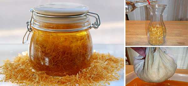 Home Remedies Diy-esential-oils-with-calendula