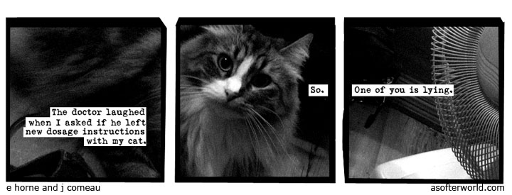 A softer world. Radical