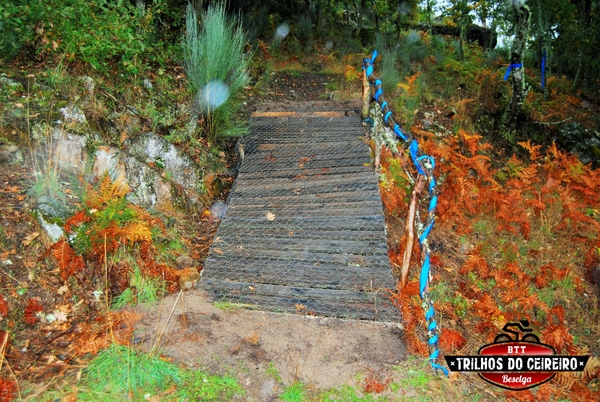 XI MaratonaTrilhos do Ceireiro - Beselga - 8 novembro 2015 PXIMARATONA10