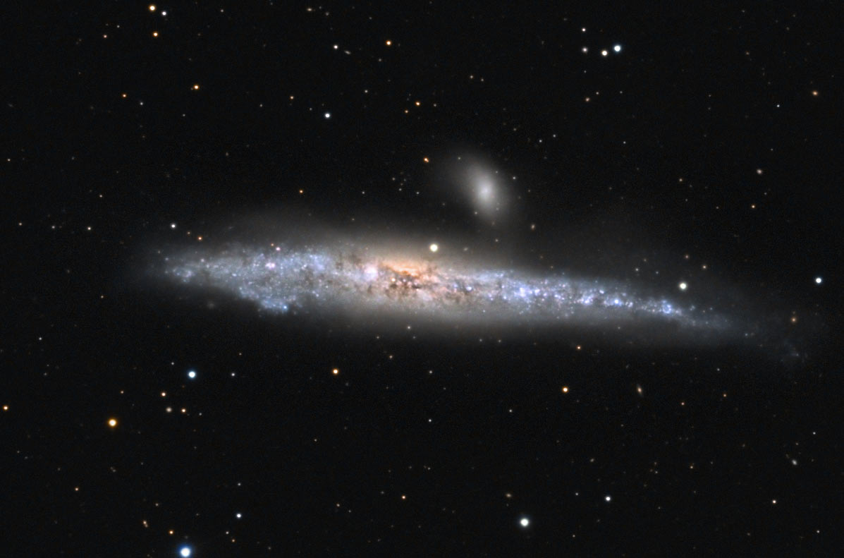 La Baleine NGC4631 71_1525092183NGC4631-crop-coul-iris-pi