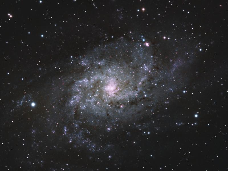 M33 avec 80ed du Club 800px_64_1511211643M33-LRGB5