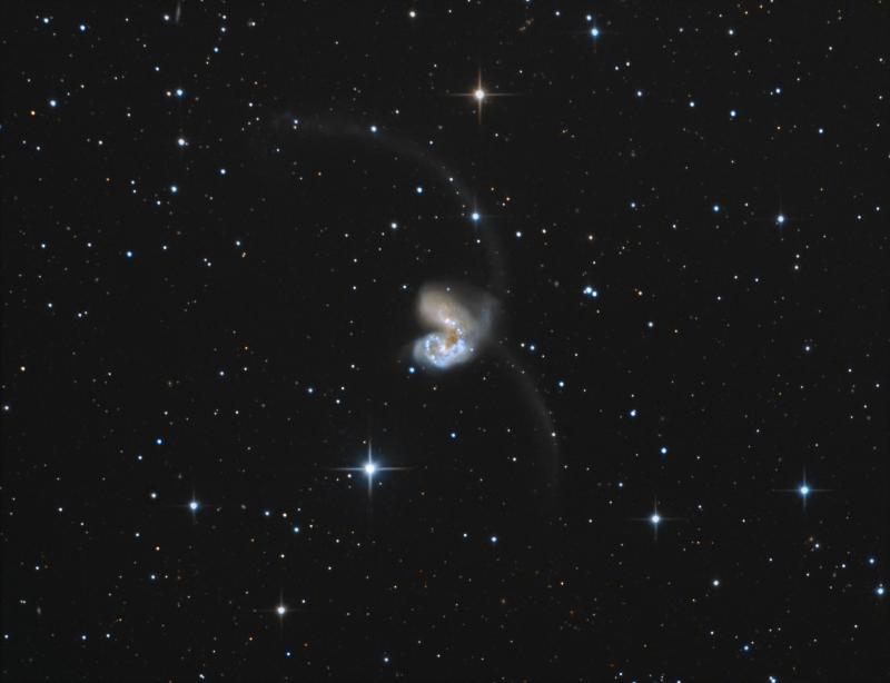 Ngc4038 & 39 Les antennes 800px_71_1521901037NGC4038-LRGB-antennesGamma