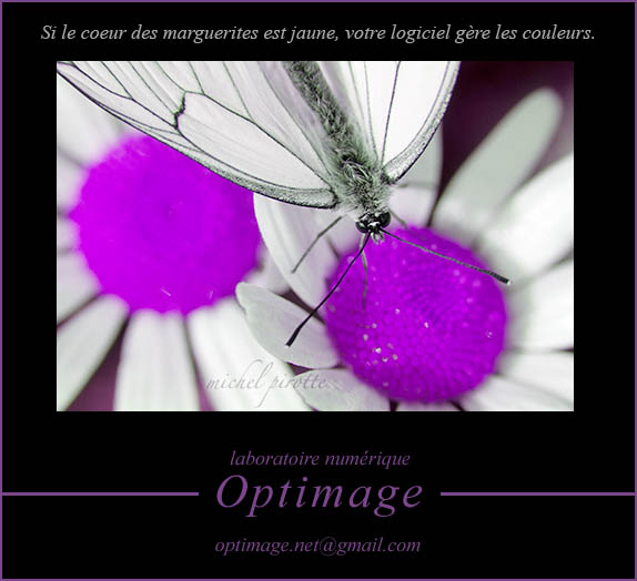 Choix du Navigateur ???? Gestion%20couleur_Optimage_j.st