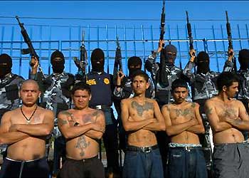 *** Spam Thread *** - Página 21 4dfe8_mexican-drug-cartel-soldiers