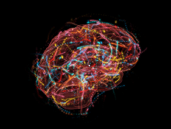 De la physique quantique à la pensée positive. Cerveau-traits