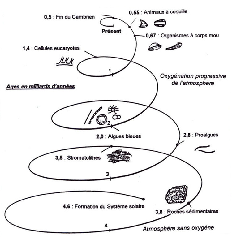 Le passé n'exite pas Fig15-1me