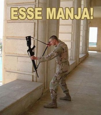 Imagens Engraçadas! Esse_manja-15112008