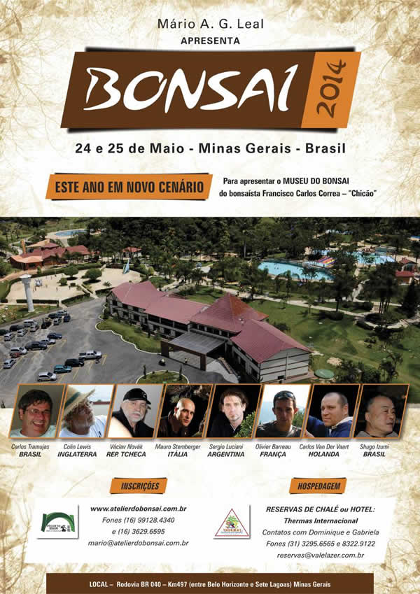 Bonsai 2014 Cartaz2014