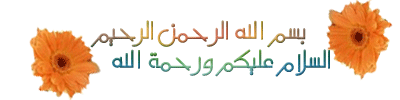 الوردة البلدى 262006770d