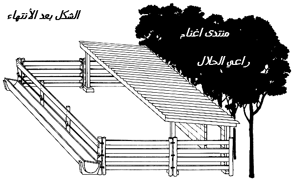 حظائر الغنم خطوة بخطوة بالصور F5623f6af5