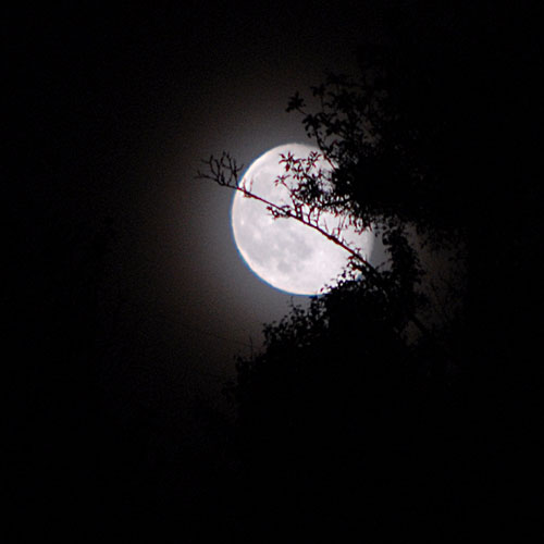 Vacances à Yuki ... mais pas que ! Lune