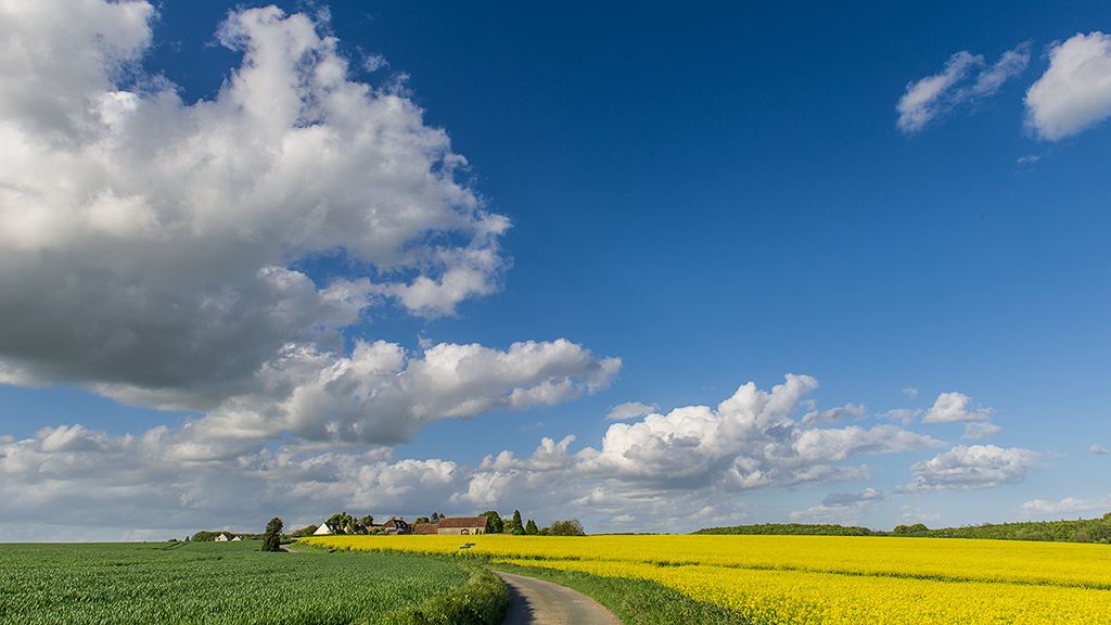 Village en vue _DSC5332