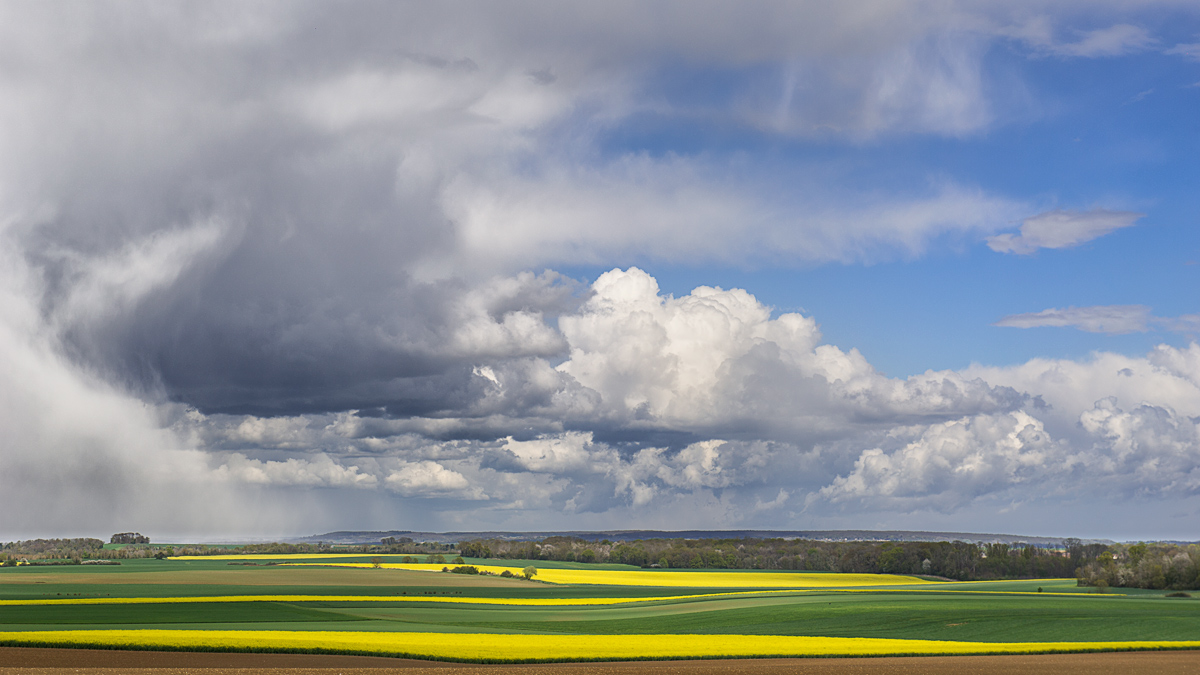 les dernières de la saison _DSC0136