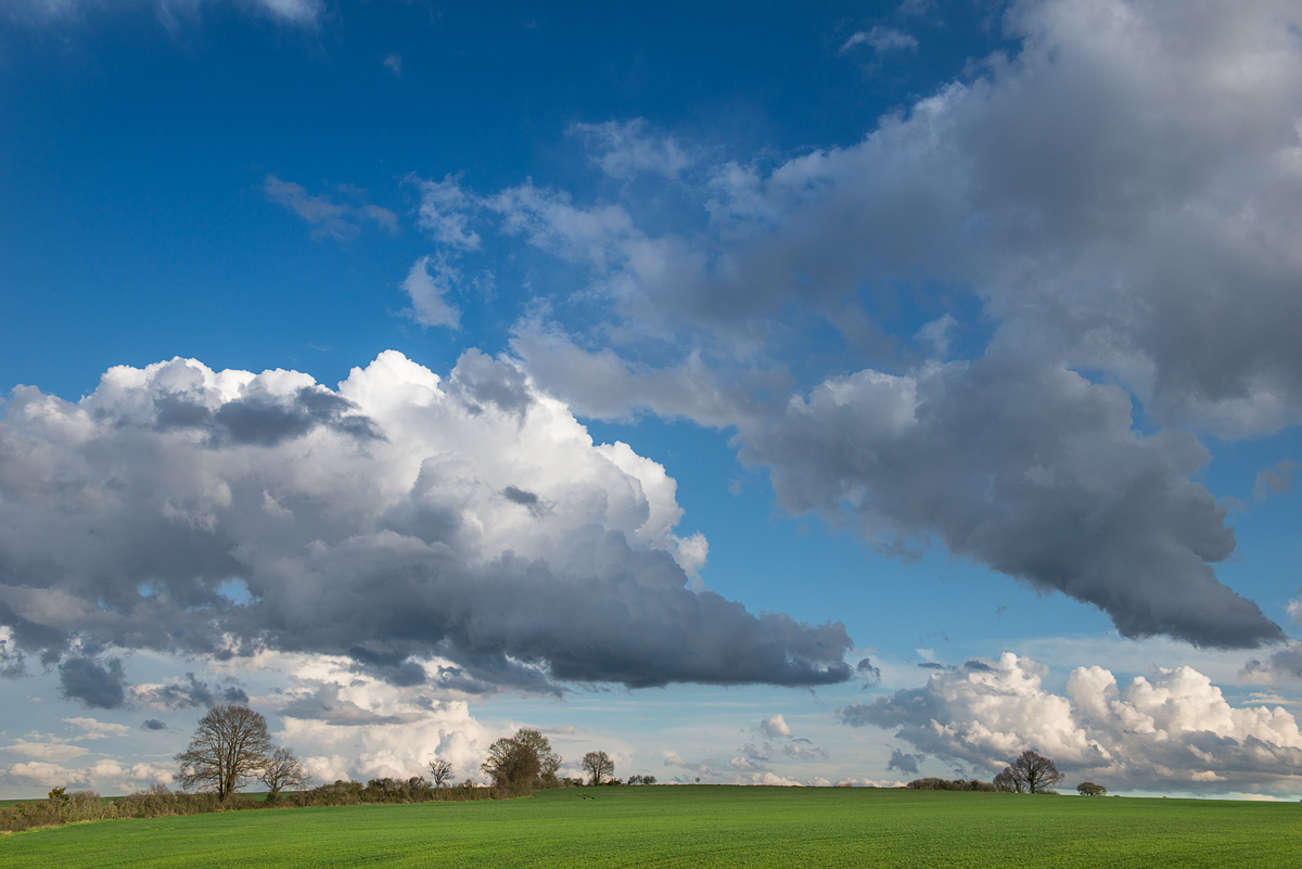 tant qu'il reste _DSC4865-a