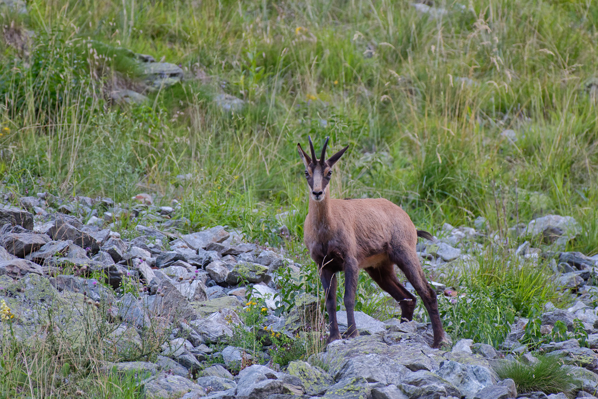 rencontre matinale _DSC6706_DxO