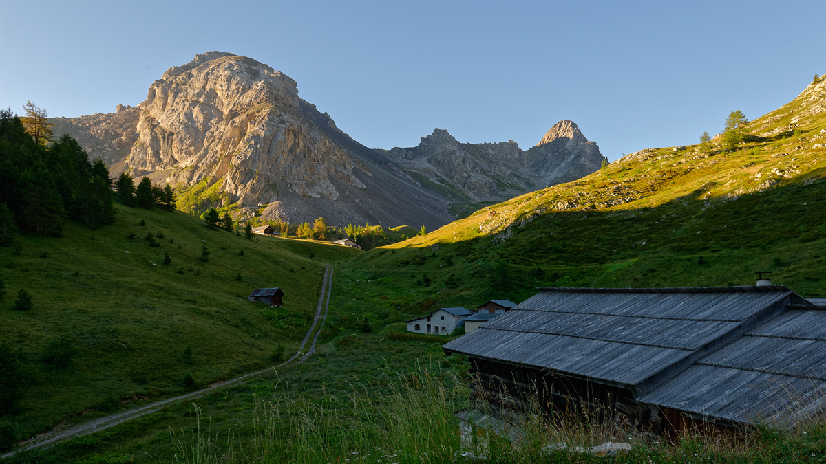 lever au collet _DSC7109_DxO