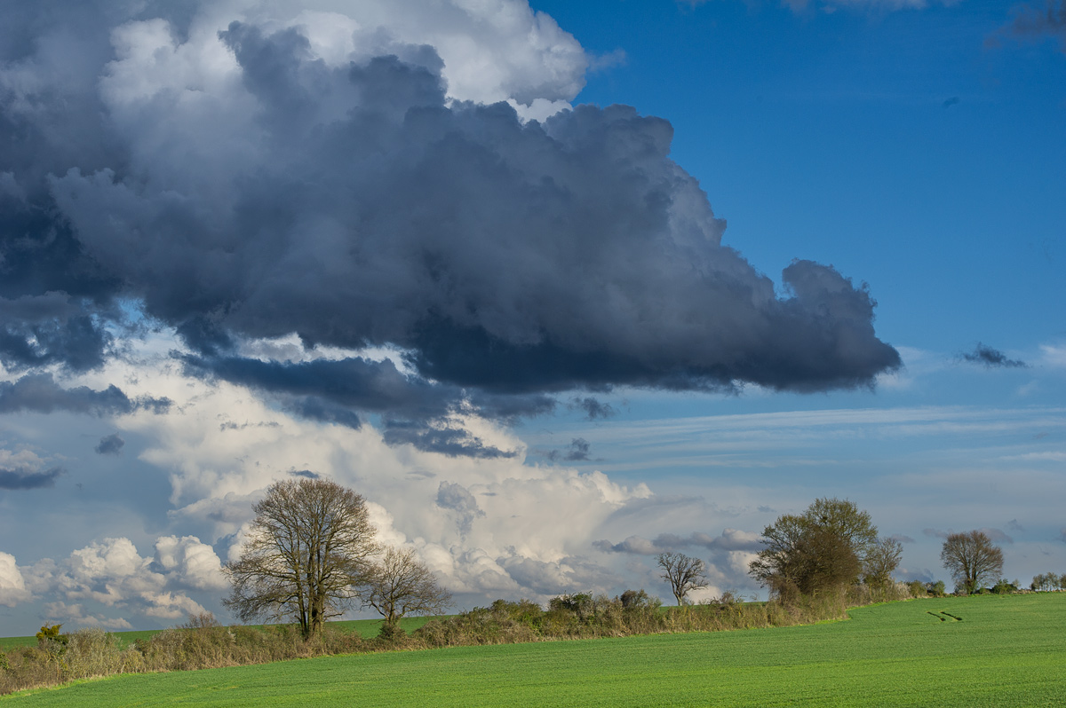 tant qu'il reste _DSC9975