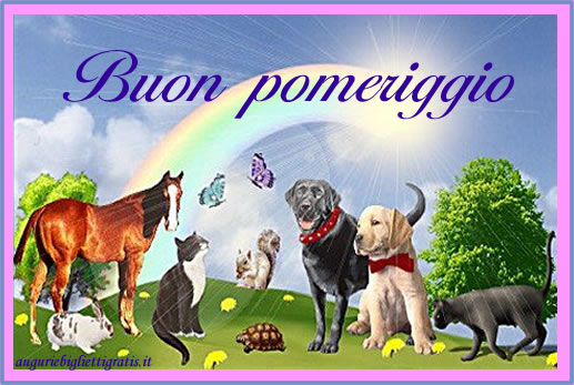 BUONGIORNO FORUM!!!!  Saluti lampo - Pagina 13 Buonpomeriggio1