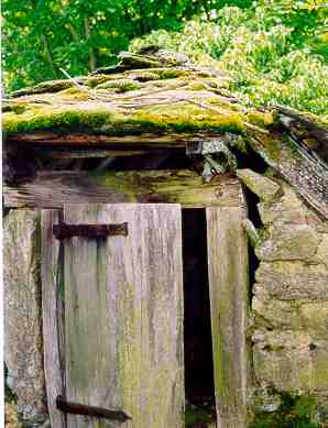 --> photo de la cabane abandonne Aurelle-fenetre