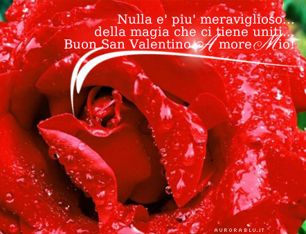 Shen valentini San_valentino_rosa_rossa