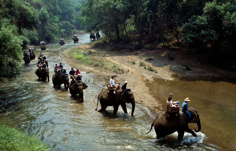 TOPIC DE GROUPE #005 ❈ Balade à dos d'éléphant - Page 12 Chiang_Dao_Elephant_camp__02