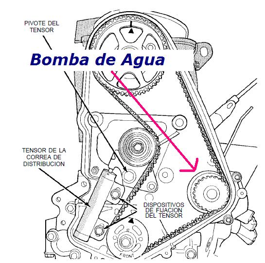 La bomba de agua y la correa de distribución Bombadeagualocation