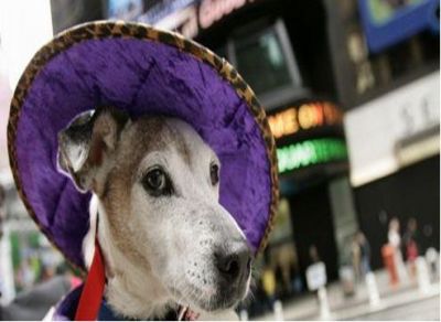 Un chapeau de quoi. Categorie-chapeaux