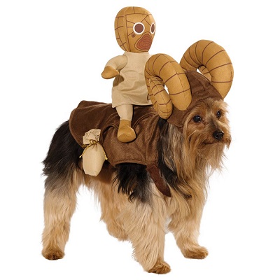 [Jeu] Suite d'images !  - Page 10 Costume-deguisement-chien-star-wars