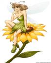 Avatare - Faqe 4 Fairy-on-a-sunflower