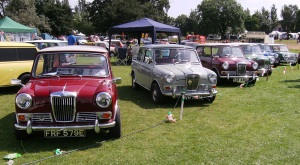 Mini 50 International Mini Meet Cofton Park Birmingham IMAG0601